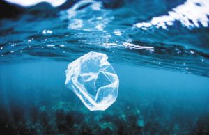 Microplastiche anche negli oceani incontaminati