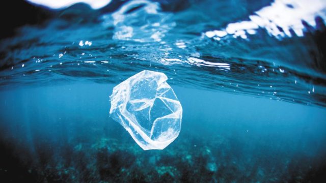 plastica mare