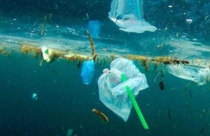 Stop alla plastica monouso anche in Italia, ma con troppe deroghe