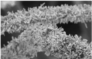 Dalla Svezia un filtro solare che mangia plastica in oceani