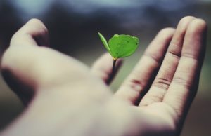 Programma LIFE: pubblicato il bando 2020 per i progetti dedicati all’ambiente
