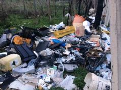 Delitti contro l’ambiente