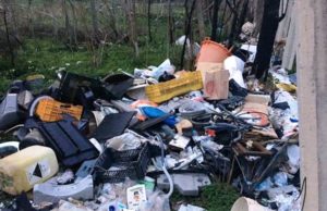 Delitti contro l’ambiente
