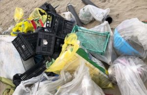 Edo Ronchi: lo sblocca-cantieri blocca il riciclo dei rifiuti