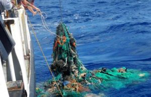 Cattolica, Operazione mare pulito: oltre 200mila euro per la raccolta dei rifiuti
