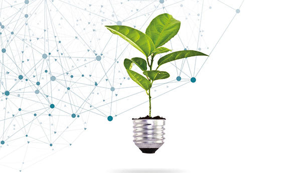 safte_copertina