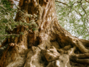 Gruppo Saviola, cresce la capacità di riciclo (+10%) saviola