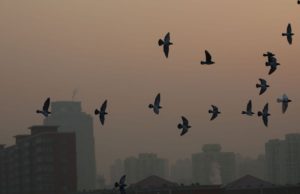 Con l’auto di Google una mappa dello smog strada per strada