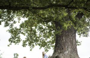 L’aria compressa sostiene la green economy Sviluppo Sostenibile