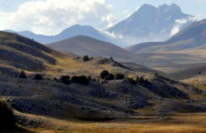 Online il catalogo dei sussidi ambientalmente dannosi e favorevoli 2017