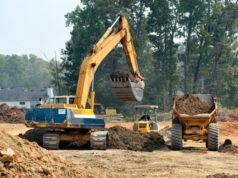 Linee Guida per i progetti di monitoraggio ambientale delle opere soggette a VIA