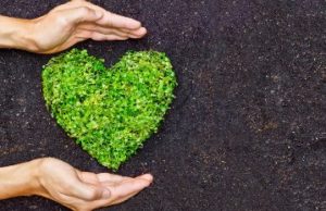 Dalla depurazione delle acque, fertilizzanti organici per contrastare la desertificazione del suolo