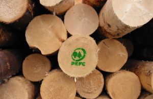 Earth Day, PEFC: no passi indietro su tutela delle foreste per proteggere clima e salute