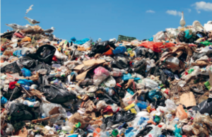 Emandamento end of waste. Legambiente: “L’emendamento end of waste così come è scritto è controproducente”.