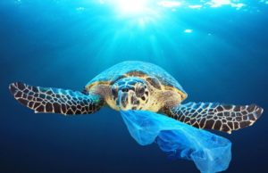 Il PE conferma il divieto d’uso della plastica usa e getta entro il 2021